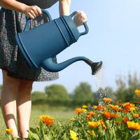 秋季植物照顧-澆水