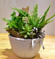 秋冬植栽設計-桌上型盆栽