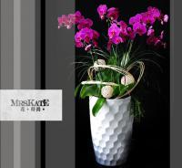 秋冬植栽設計-落地蘭花