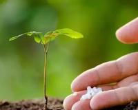 春季植栽照顧-施肥