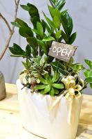 春夏花器設計之白色釉陶花器