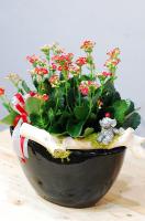 春夏花器設計之桌上元寶型花器