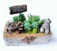 春夏花器設計之四方粗陶盆花器