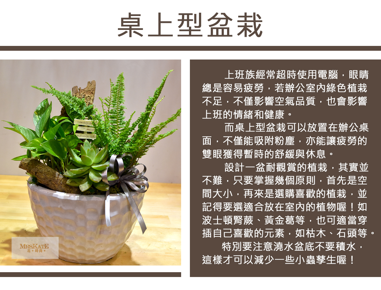秋冬設計-桌上型盆栽.jpg